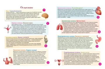 Человек! 365 вещей, которые нужно знать про наше тело