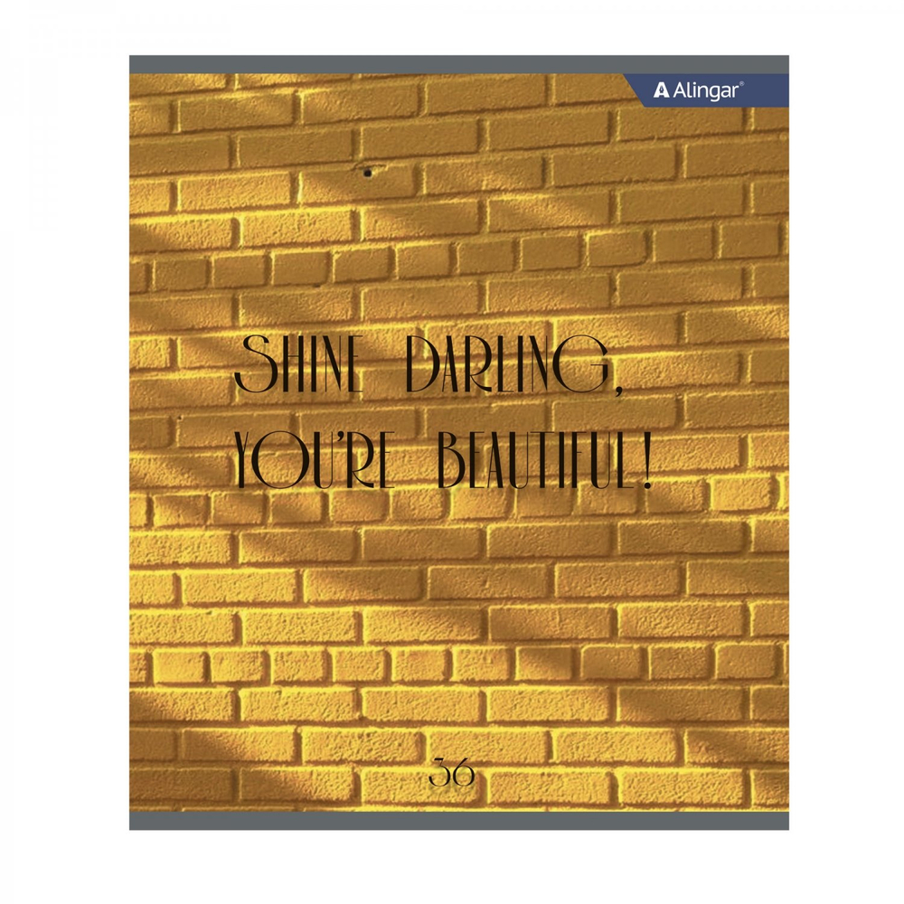 Тетрадь 36 л., А5, линия, Alingar "Positive book", скрепка, второй блок 60г/м2, мелованный картон (стандарт), 4 дизайна в пленке т/у