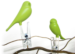 Прищепки Sparrow 4 шт. зеленые Qualy