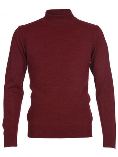 Мужская водолазка STATMEN