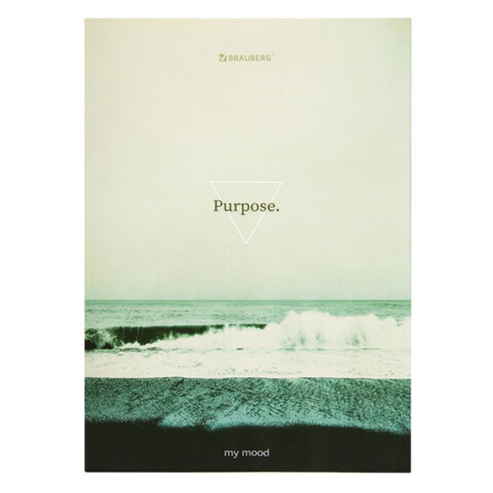 Тетрадь на кольцах БОЛЬШАЯ А4, 215х305 мм, 100 л., твердый картон, клетка, BRAUBERG, "Nature", 405411