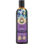 Гель для душа РЕЦЕПТЫ БАБУШКИ АГАФЬИ на соках увлажняющий Черничный 280мл