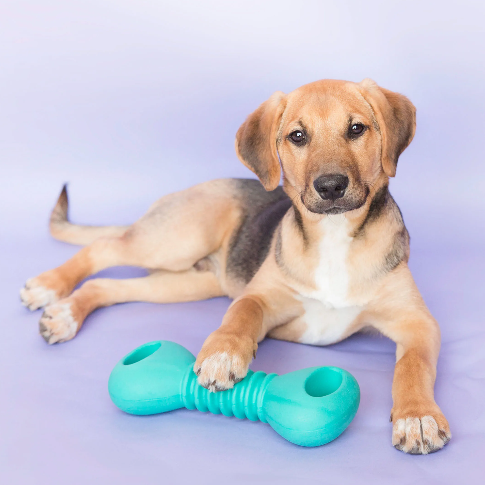 Гантель ZippyTuff Squeakerz 25 cм ZippyPaws