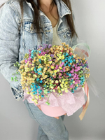 Гипсофила радужная в коробке