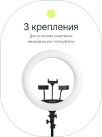 Светодиодный осветитель Raylab RL-0118 Kit кольцевой