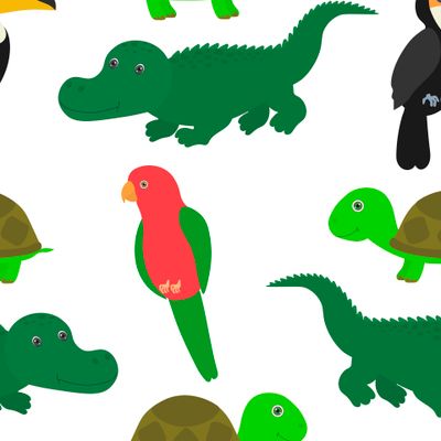 Попугаи крокодил черепаха