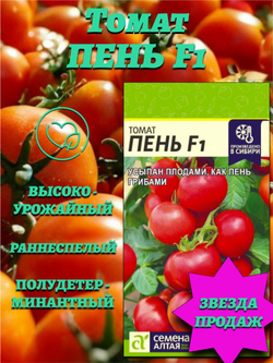 Томат Пень F1 (5шт). Семена Алтая