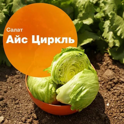 Салат Айс Циркль (50шт) Витагрин Профи
