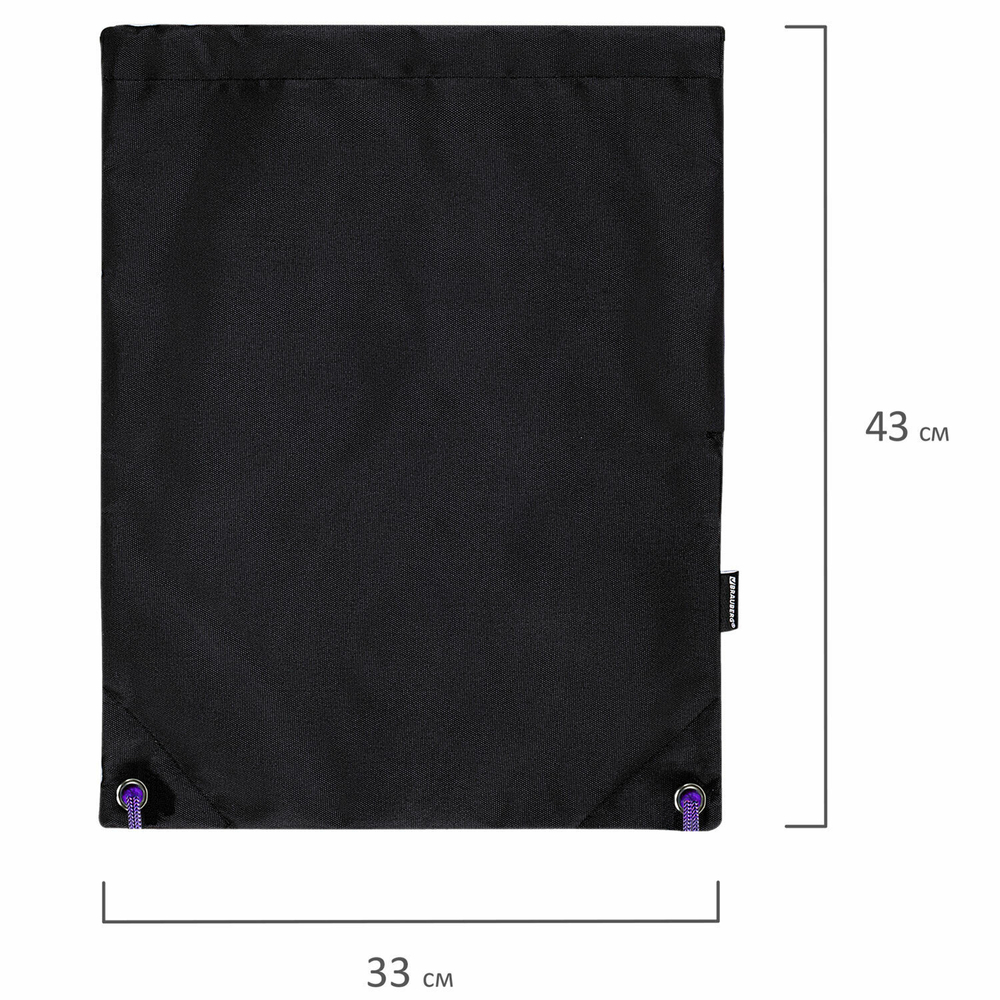 Мешок для обуви BRAUBERG плотный карман на молнии подкладка 43х33 см "Neon Purple" (2 штуки в упаковке)