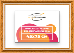 Рама 45x75 для картин и фотографий