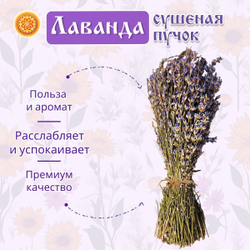 Лаванда пучок.