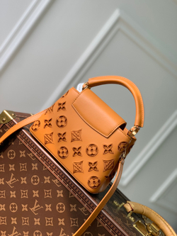 Louis Vuitton Capucines Mini