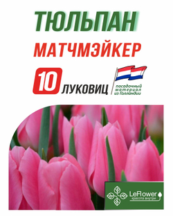 Тюльпан Луковица, Матчмэйкер, 10шт