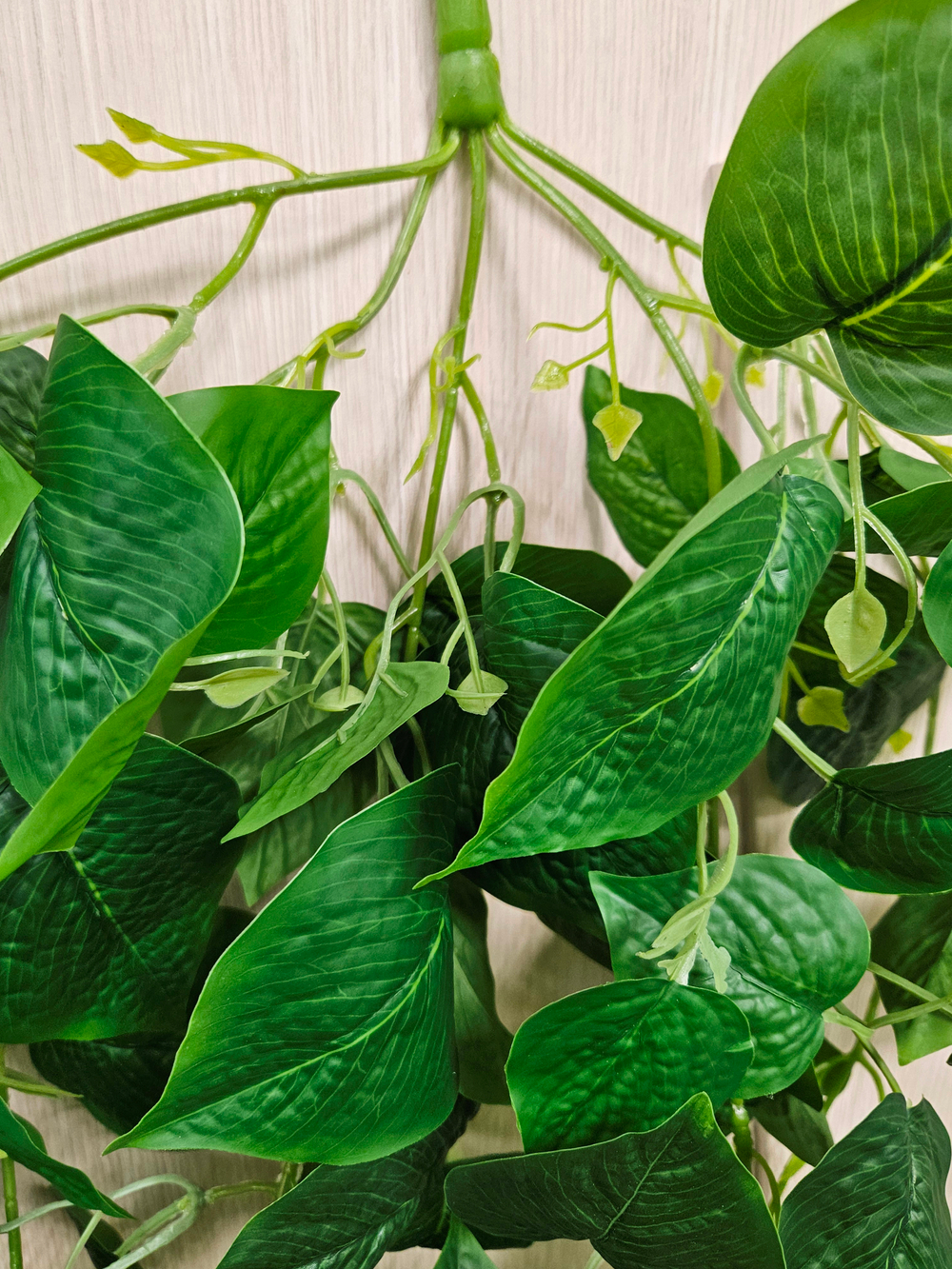 Искусственный Филодендрон крупнолистный 110см