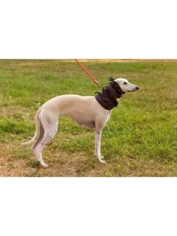 Снуды для собак непромокаемый шапка шарф для животных