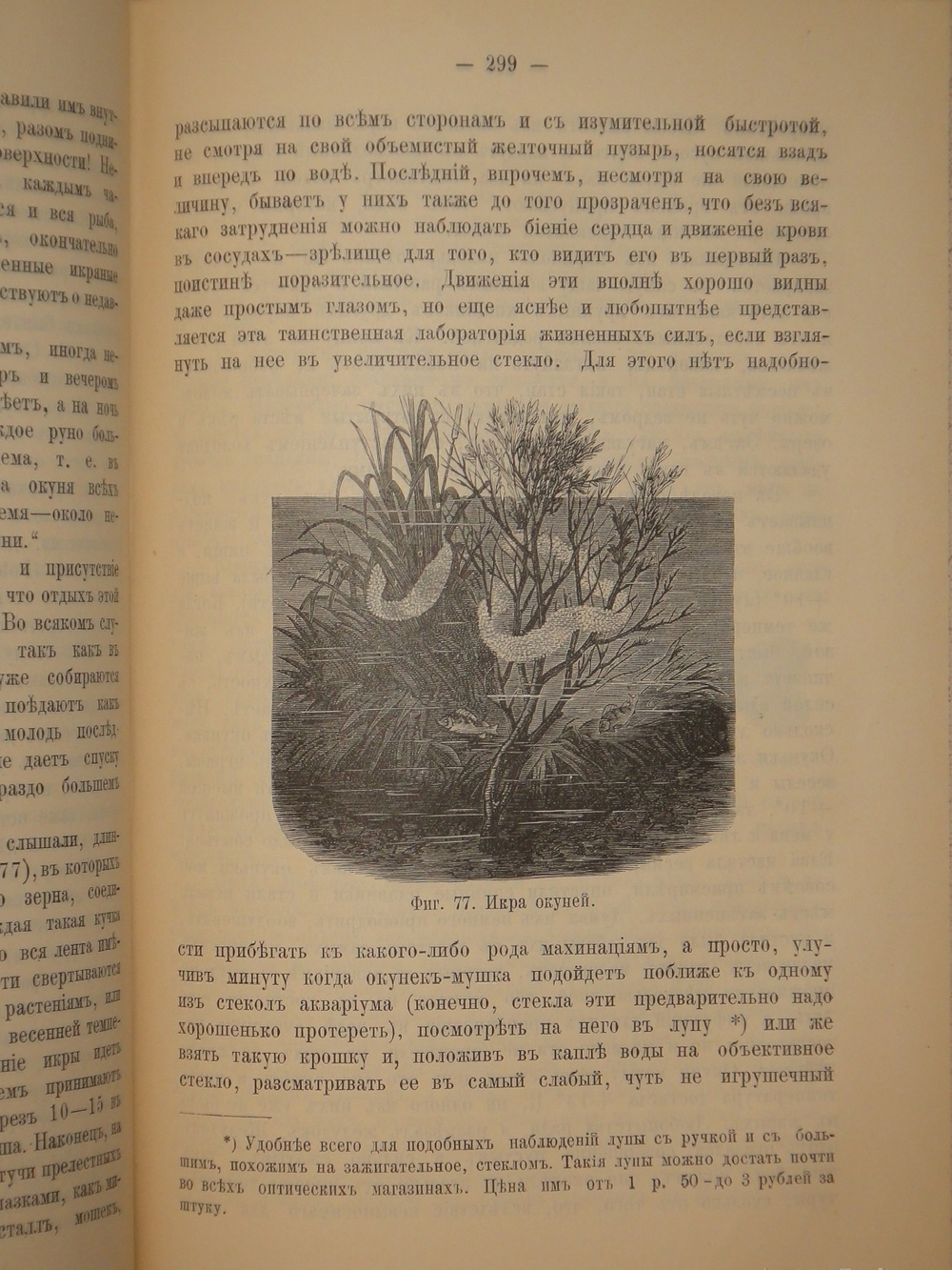 "Аквариум любителя. Подробное описание флоры и фауны аквариума, устройство аквариума, уход за ним и пр.". Н.Ф.Золотницкий. 1890г.