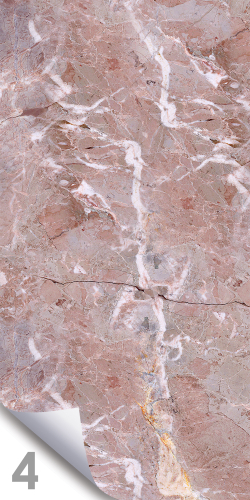 Ветка Сакуры