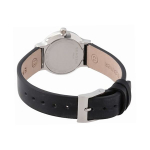 Женские наручные часы Skagen SKW2668