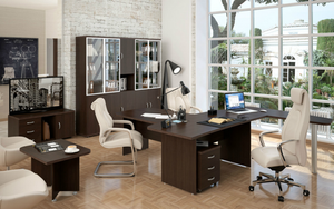 Кабинет руководителя Эталон