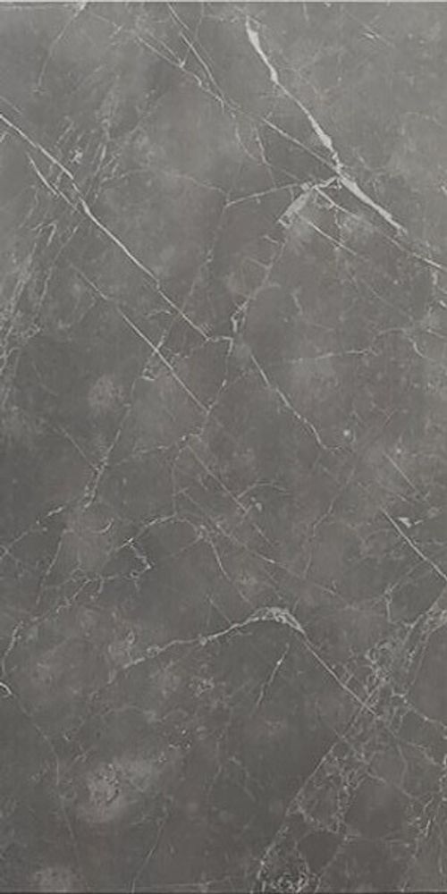 Pamesa Piave Argent 60x120