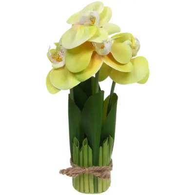 Цветочная композиция «Весенняя рапсодия» 19*27см Орхидея желтая
