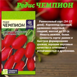 Набор семян: салат и редис