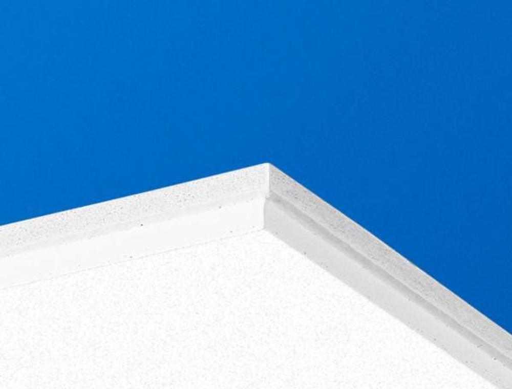 Панель потолочная Ecophon Focus Е Т24 белый Frost 600х600х20 мм