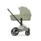 Детская коляска Cybex Priam V Style 2 в 1 Sage Green