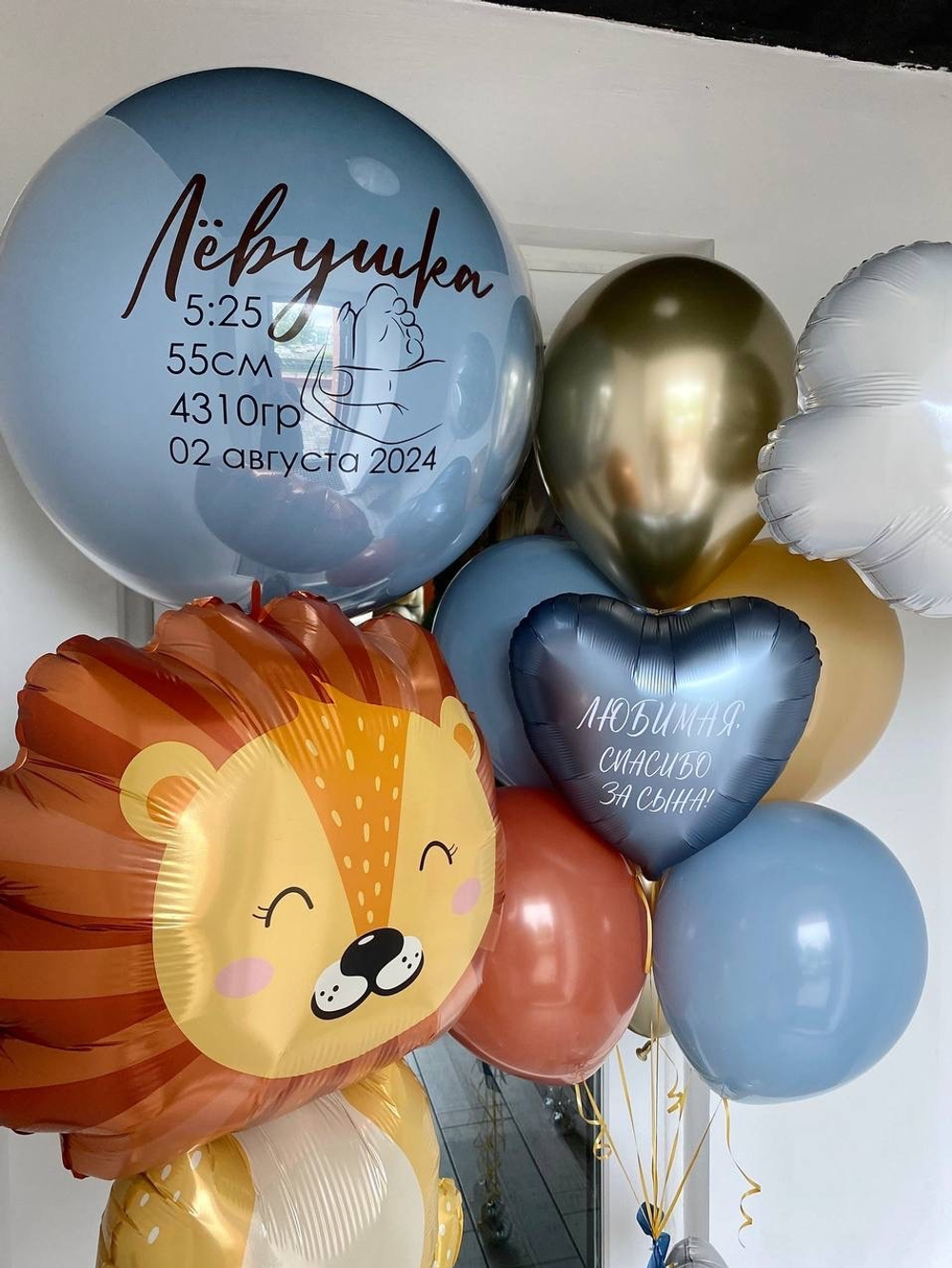 Воздушные шары на выписку из роддома №1107