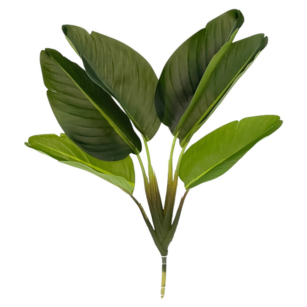 Стрелиция куст 6 листьев 38 см