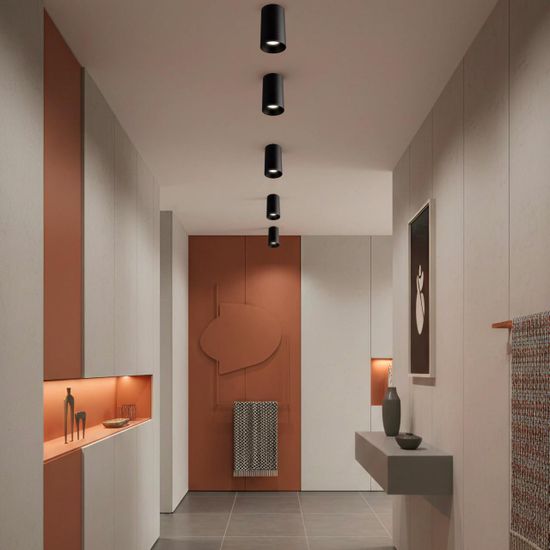 CL512111 AXEL Черный Св-к Потолочный