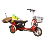 Электротрицикл Elbike Адъютант А4 с сиденьем