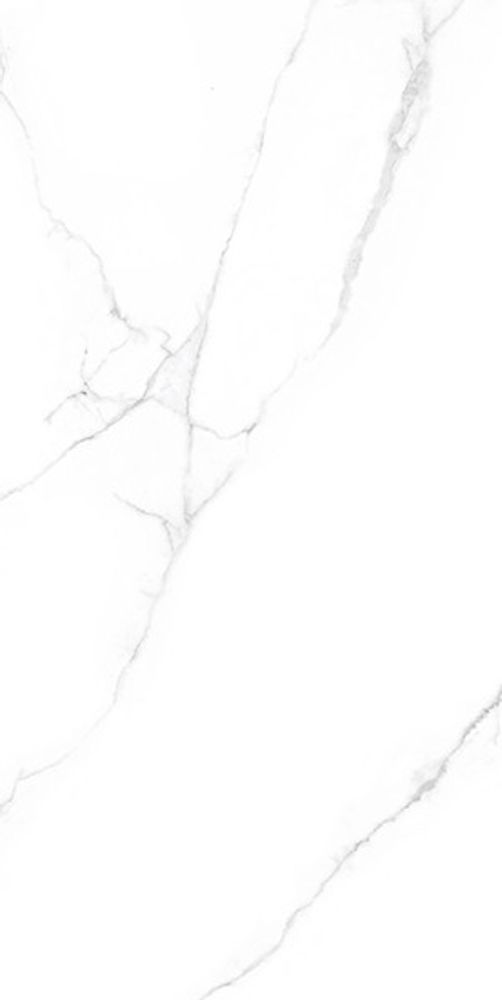 Керамогранит MARBLE  Statuario Carmel MATT (ENMAR1029MT60120)