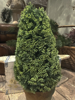 Туя в кашпо декоративная 15x15x36 см