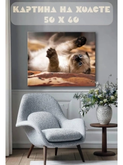 Картина на стену 40 X 50 Котенок