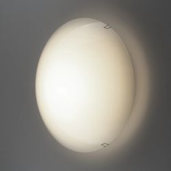 Citilux CL918000 Светильник светодиодный Белый