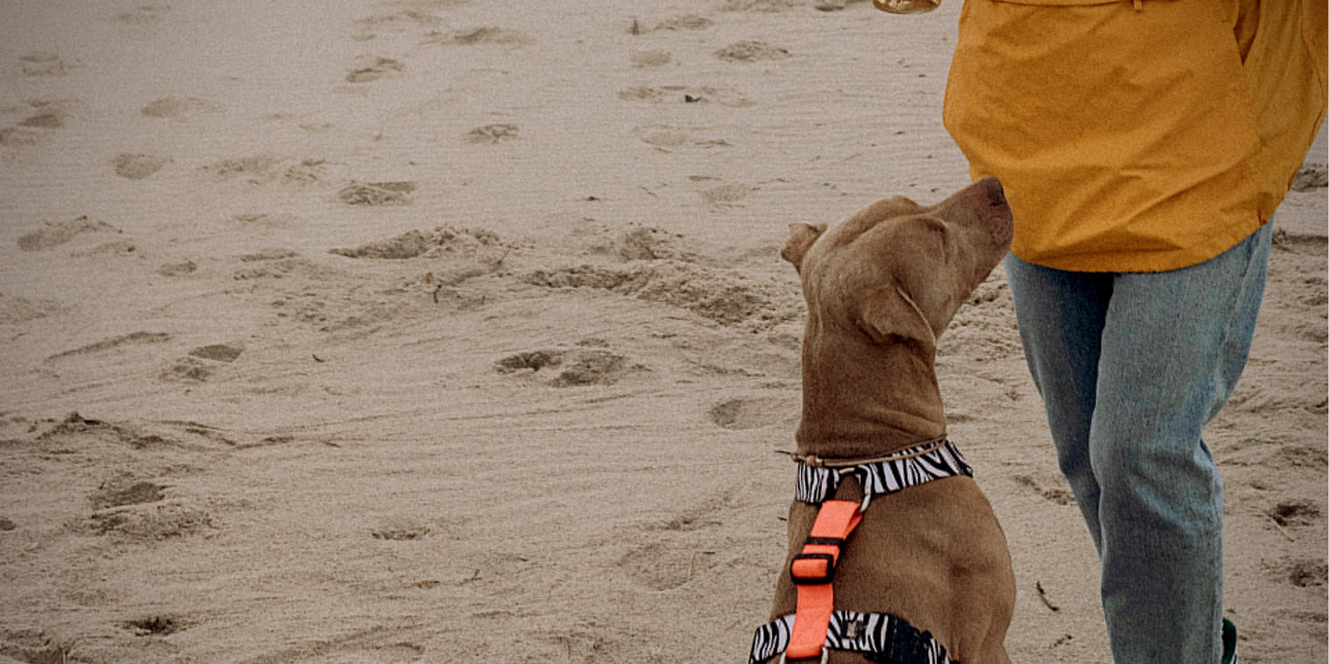 Кастом амуниции