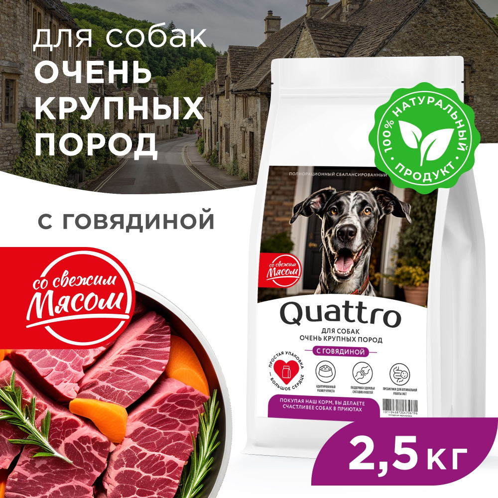 Корм сухой для взрослых собак очень крупных пород, премиум полнорационный сбалансированный, с говядиной, 2,5 кг, QUATTRO