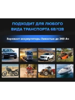 Зарядное устройство TOPDON TB8000 (8A)