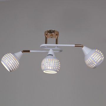 70059-3.3-03 FG+WH светильник потолочный