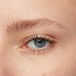 MAYBELLINE NEW YORK Tattoo Brow - , 4,6 g