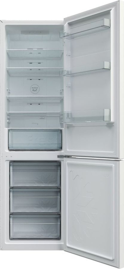 Холодильник Candy CCRN 6200 W