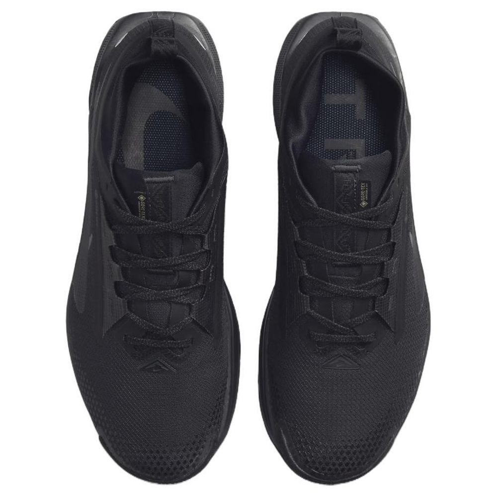 Кроссовки Nike Pegasus Trail 5 Gore-Tex