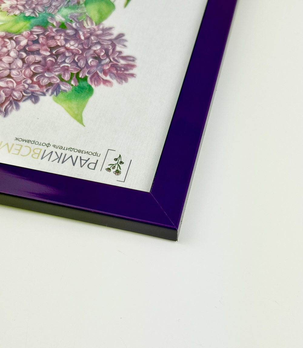 Фоторамка 15х21 см фиолетовая, без фактуры, арт. 1521.752270