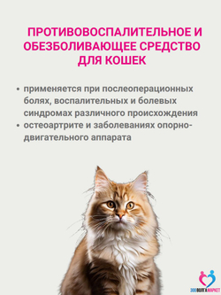 Робенекс 6 мг таблетки противовоспалительные и обезболивающие для кошек, 10 таб