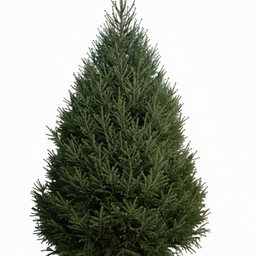 Крупномеры