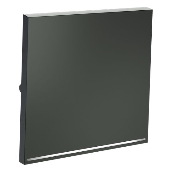 Клавиша для выключателя/переключателя одноклавишного с подсветкой, S70 (титан)