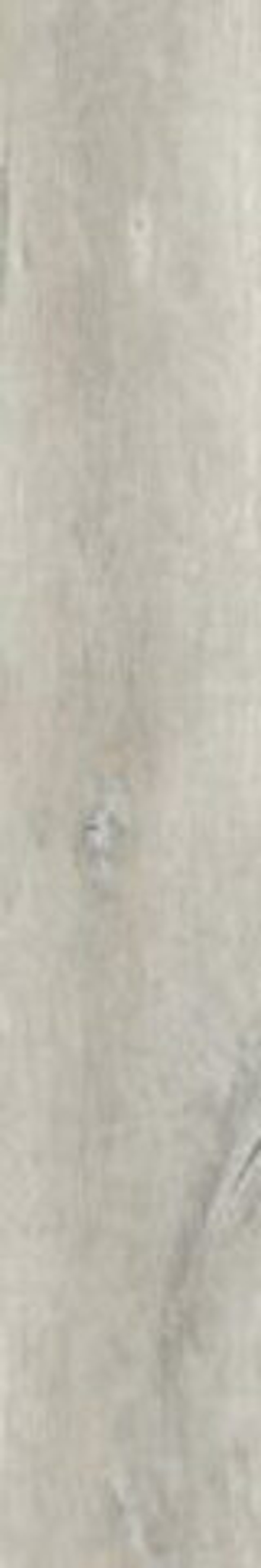 Peronda Lenk Ash AS C/R 19.5x121.5