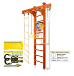 Шведская стенка Kampfer Wooden Ladder Ceiling Basketball Shield 3м с матом