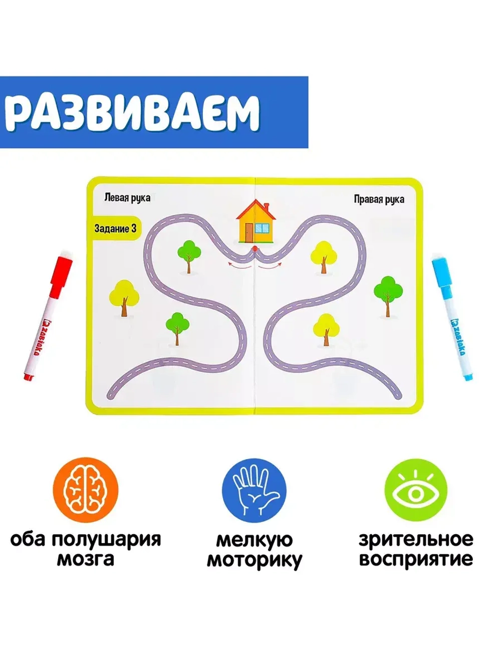 Набор напиши-стирай Межполушарное развитие